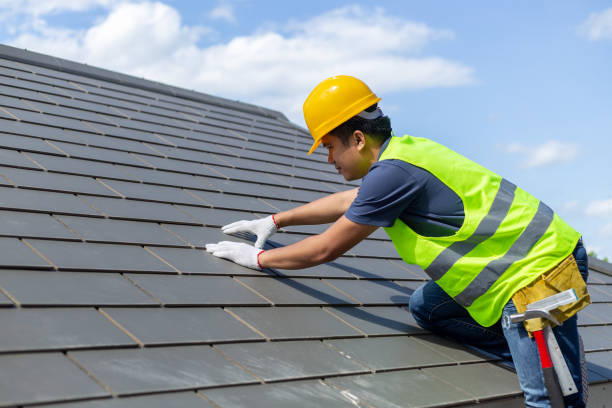 Best Local Roofing Companies  in Sheridan, IL