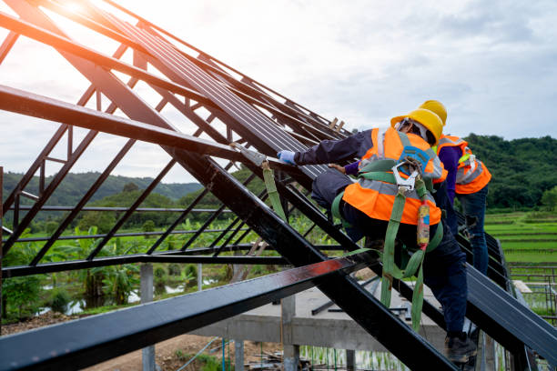 Best Gutter Installation and Roofing  in Sheridan, IL