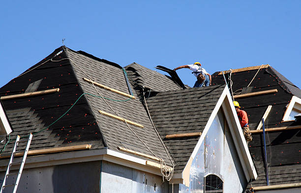 Best Roof Waterproofing Services  in Sheridan, IL
