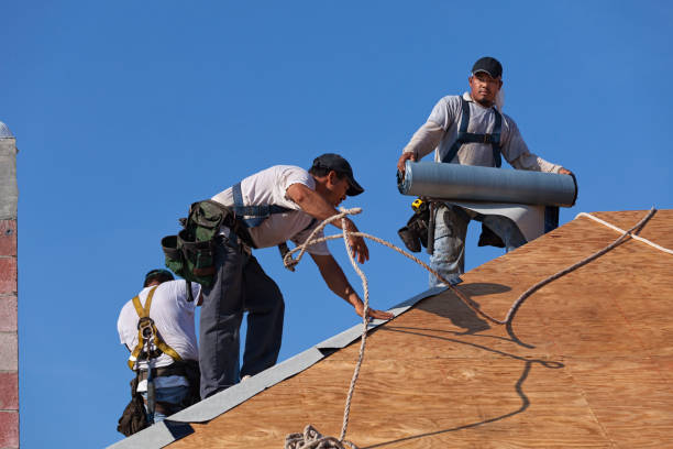 Best New Roof Installation  in Sheridan, IL