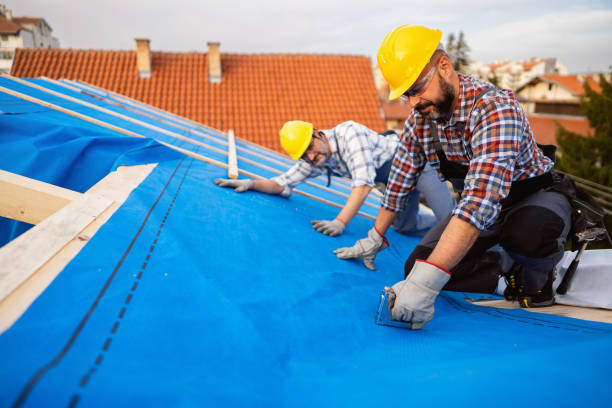 Best Commercial Roofing Services  in Sheridan, IL