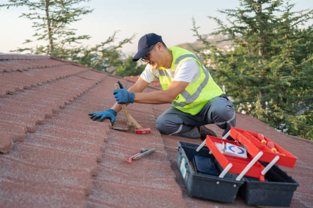 Best Residential Roof Replacement  in Sheridan, IL