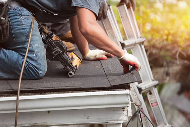 Professional Roofing Contractor in Sheridan, IL