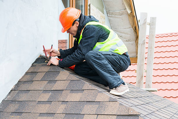Best Metal Roofing Contractor  in Sheridan, IL