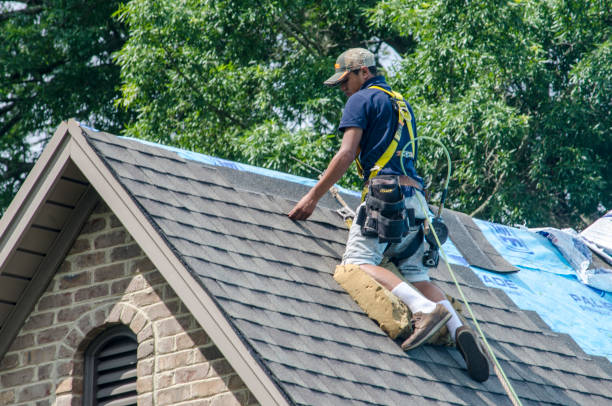 Best Commercial Roofing Services  in Sheridan, IL